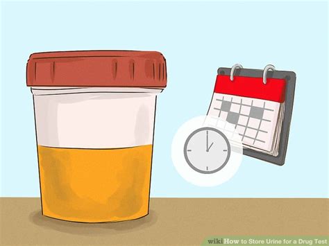 Simple Ways to Store Urine for a Drug Test: 8 Steps 